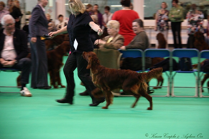 Crufts2011 131.jpg